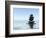 Zen Stones In Water-f9photos-Framed Photographic Print