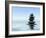 Zen Stones In Water-f9photos-Framed Photographic Print