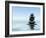 Zen Stones In Water-f9photos-Framed Photographic Print