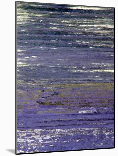 Zen Tides-Ricki Mountain-Mounted Art Print