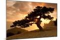 Premium Photographic Print