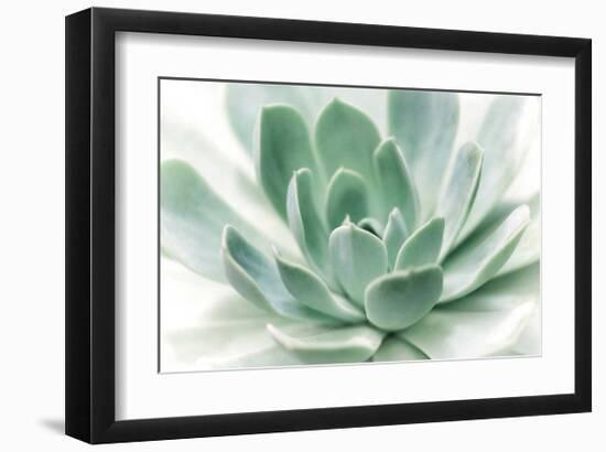 Zen-Dina Marie-Framed Giclee Print