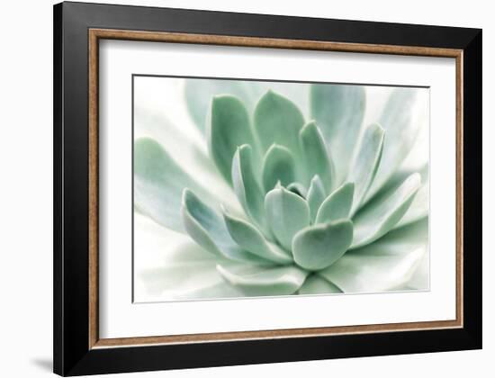 Zen-Dina Marie-Framed Giclee Print