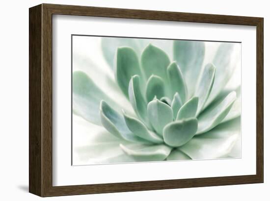 Zen-Dina Marie-Framed Giclee Print