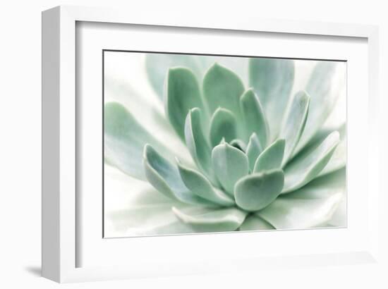 Zen-Dina Marie-Framed Giclee Print