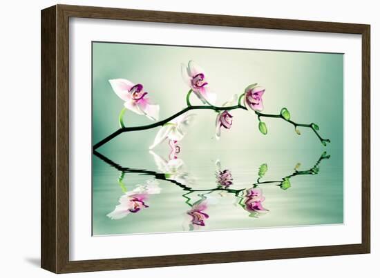 Zen-Lee Sie-Framed Photographic Print