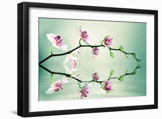 Zen-Lee Sie-Framed Photographic Print