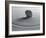 Zengarten-Michael Zirn-Framed Photographic Print