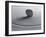 Zengarten-Michael Zirn-Framed Photographic Print