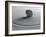 Zengarten-Michael Zirn-Framed Photographic Print