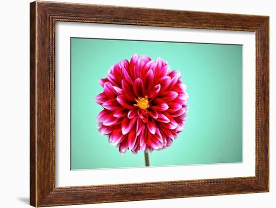 Zenia-Gail Peck-Framed Photographic Print