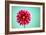 Zenia-Gail Peck-Framed Photographic Print