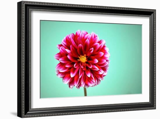 Zenia-Gail Peck-Framed Photographic Print