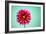 Zenia-Gail Peck-Framed Photographic Print