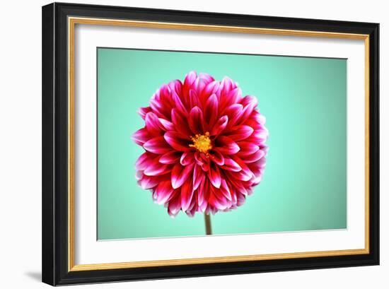 Zenia-Gail Peck-Framed Photographic Print