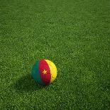 Ghanaian Soccerball Lying on Grass-zentilia-Art Print