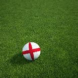 Japanese Soccerball Lying on Grass-zentilia-Framed Art Print