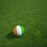Ivorian Soccerball Lying on Grass-zentilia-Art Print
