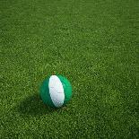 Australian Soccerball Lying on Grass-zentilia-Art Print