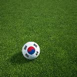Japanese Soccerball Lying on Grass-zentilia-Framed Art Print