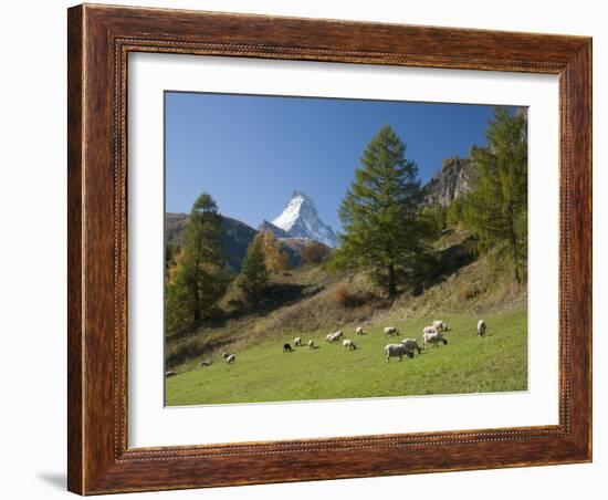 Zermatt, Valais, Swiss Alps, Switzerland, Europe-Angelo Cavalli-Framed Photographic Print