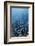 Zermatt, Valais, Swiss Alps, Switzerland, Europe-Christian Kober-Framed Photographic Print