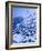 Zermatt, Valais, Switzerland-Walter Bibikow-Framed Photographic Print