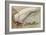 Zermatt-John Ruskin-Framed Giclee Print