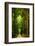 Zero Vision-Philippe Sainte-Laudy-Framed Photographic Print