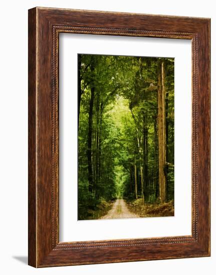 Zero Vision-Philippe Sainte-Laudy-Framed Photographic Print