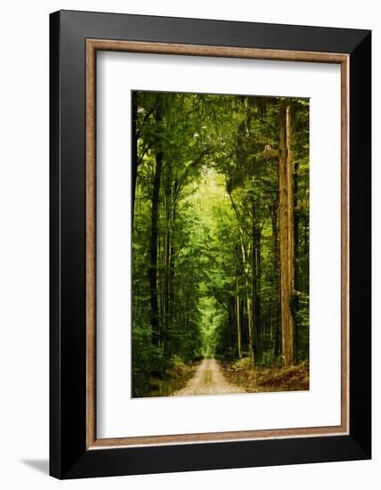 Zero Vision-Philippe Sainte-Laudy-Framed Photographic Print