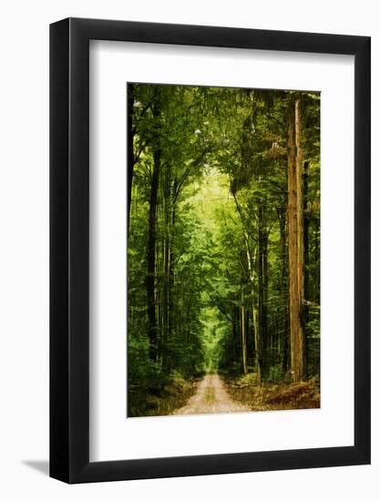 Zero Vision-Philippe Sainte-Laudy-Framed Photographic Print