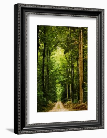 Zero Vision-Philippe Sainte-Laudy-Framed Photographic Print