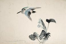 Hawk on Snowy Branch-Zeshin Shibata-Giclee Print