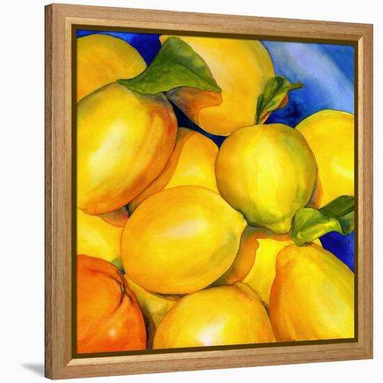 Zest For Life-Terri Hill-Framed Premier Image Canvas