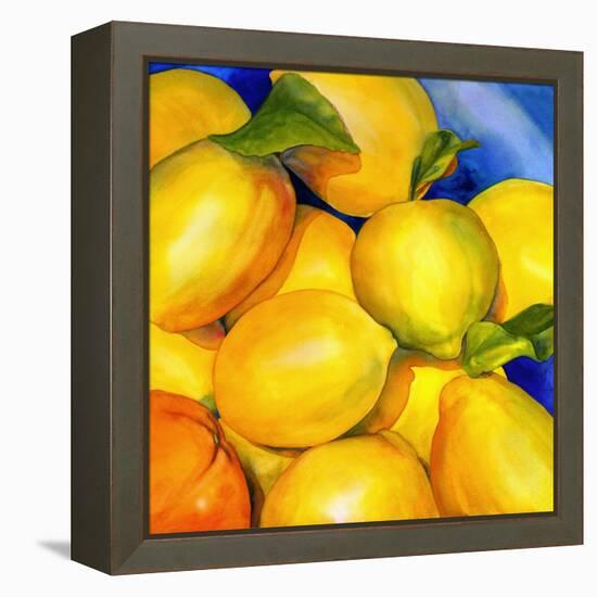 Zest For Life-Terri Hill-Framed Premier Image Canvas