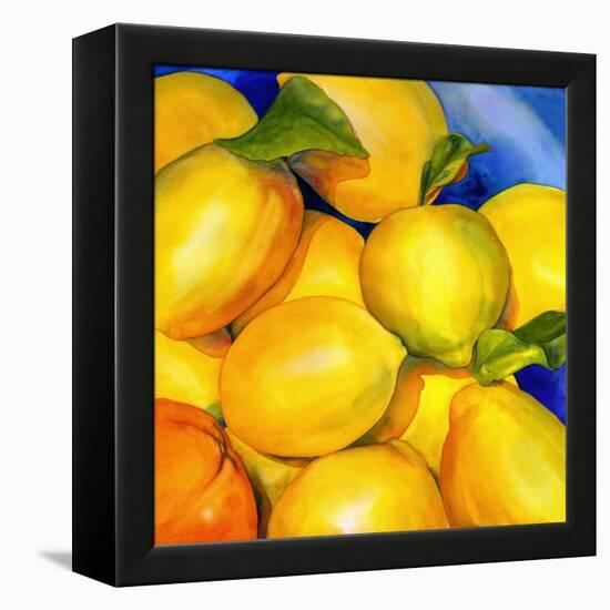 Zest For Life-Terri Hill-Framed Premier Image Canvas