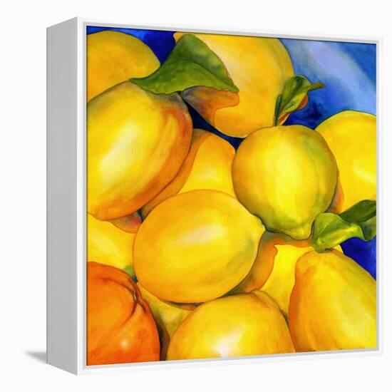 Zest For Life-Terri Hill-Framed Premier Image Canvas