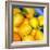 Zest For Life-Terri Hill-Framed Premium Giclee Print