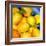 Zest For Life-Terri Hill-Framed Premium Giclee Print