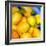 Zest For Life-Terri Hill-Framed Premium Giclee Print