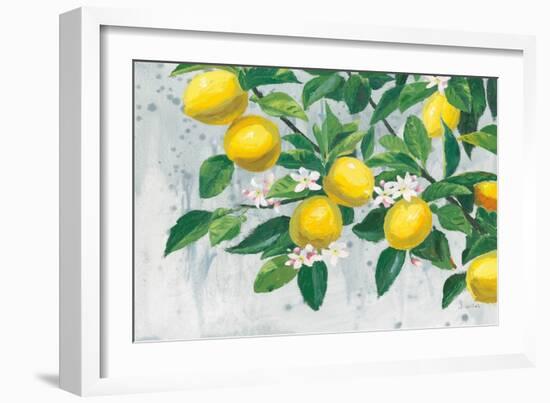 Zesty Lemons-James Wiens-Framed Art Print