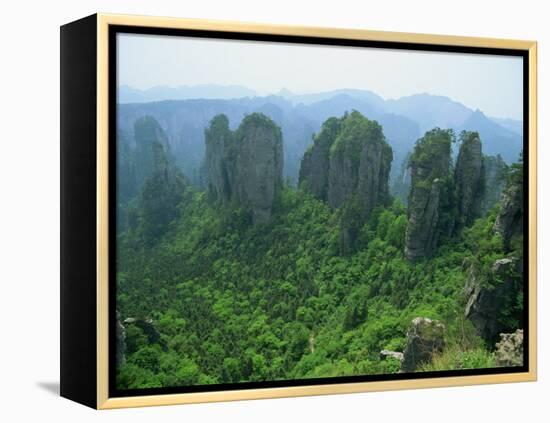 Zhangjiajie Forest Park in Wulingyuan Scenic Area in Hunan Province, China-Robert Francis-Framed Premier Image Canvas