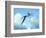 Zhejiangopterus, a Genus of Azhdarchid Pterosaur-null-Framed Premium Giclee Print