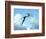 Zhejiangopterus, a Genus of Azhdarchid Pterosaur-null-Framed Premium Giclee Print