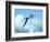 Zhejiangopterus, a Genus of Azhdarchid Pterosaur-null-Framed Premium Giclee Print