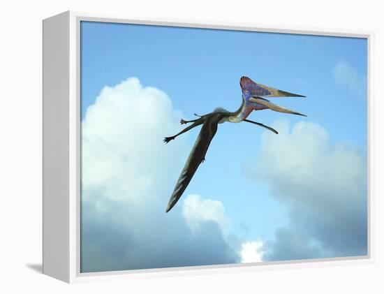 Zhejiangopterus, a Genus of Azhdarchid Pterosaur-null-Framed Stretched Canvas