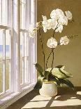 Orchids In The Window-Zhen-Huan Lu-Giclee Print