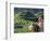 Zhuang Girl with Rice Terraces, China-Keren Su-Framed Photographic Print