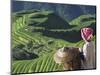 Zhuang Girl with Rice Terraces, China-Keren Su-Mounted Photographic Print